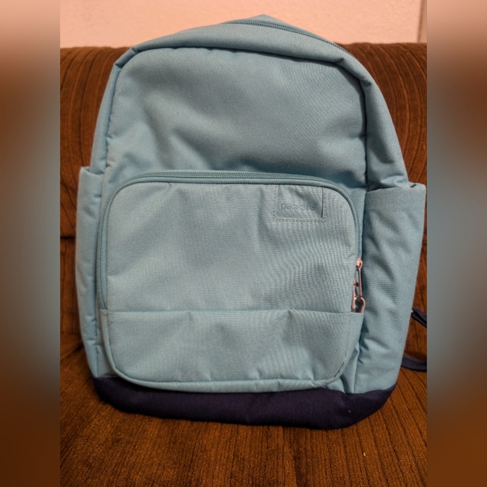 Small Pacsafe Citysafe LS series Travel Anti-theft Backpack
